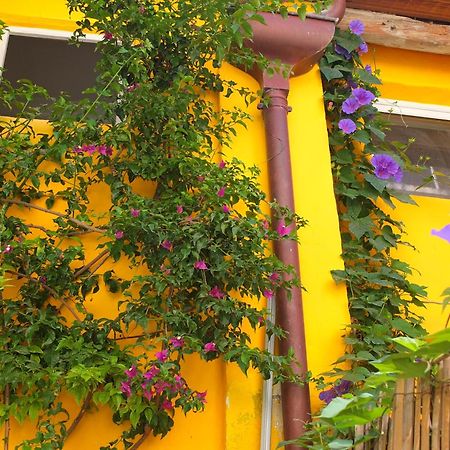 La Maison Jaune Sète Quarto foto