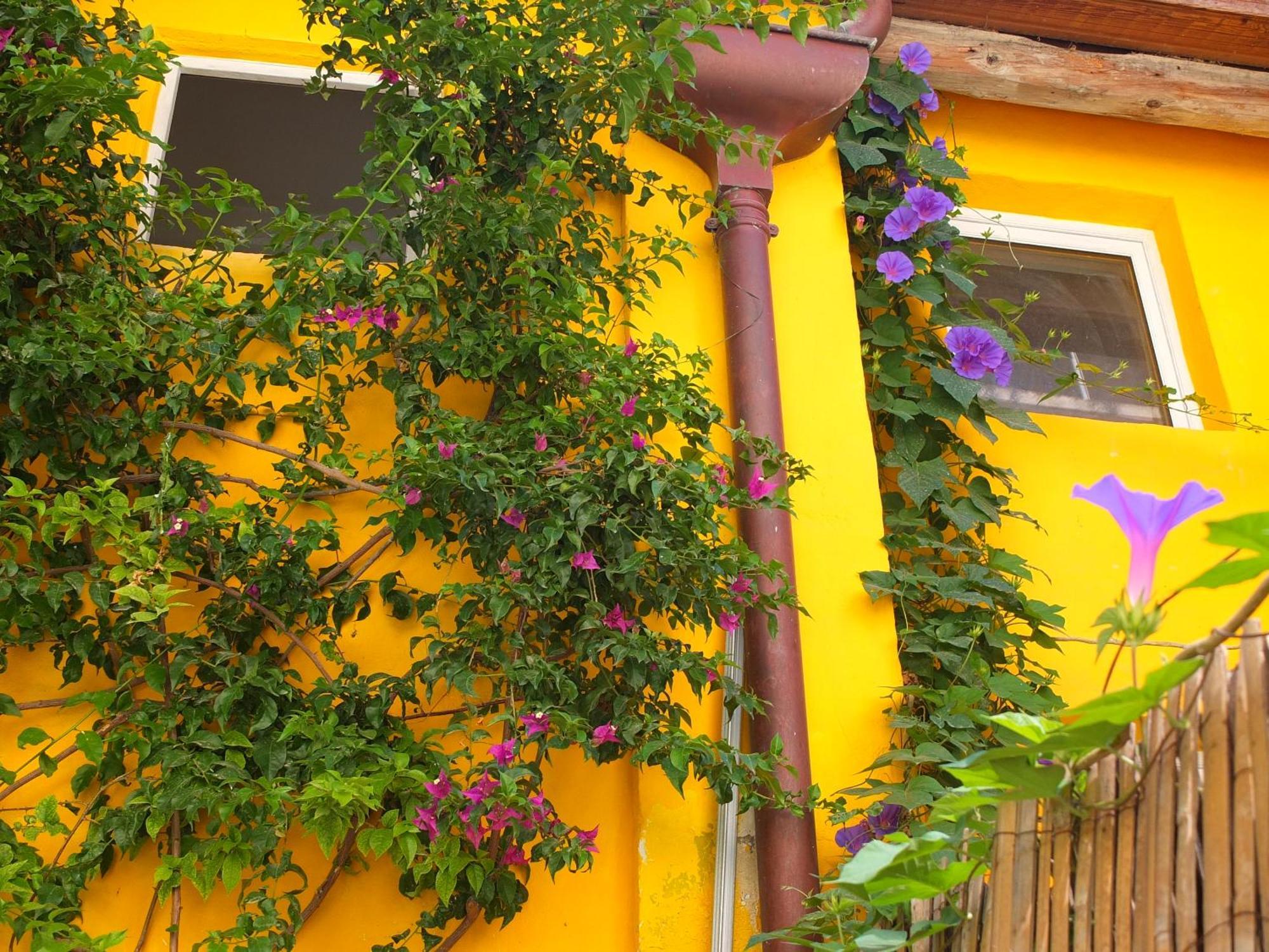 La Maison Jaune Sète Quarto foto